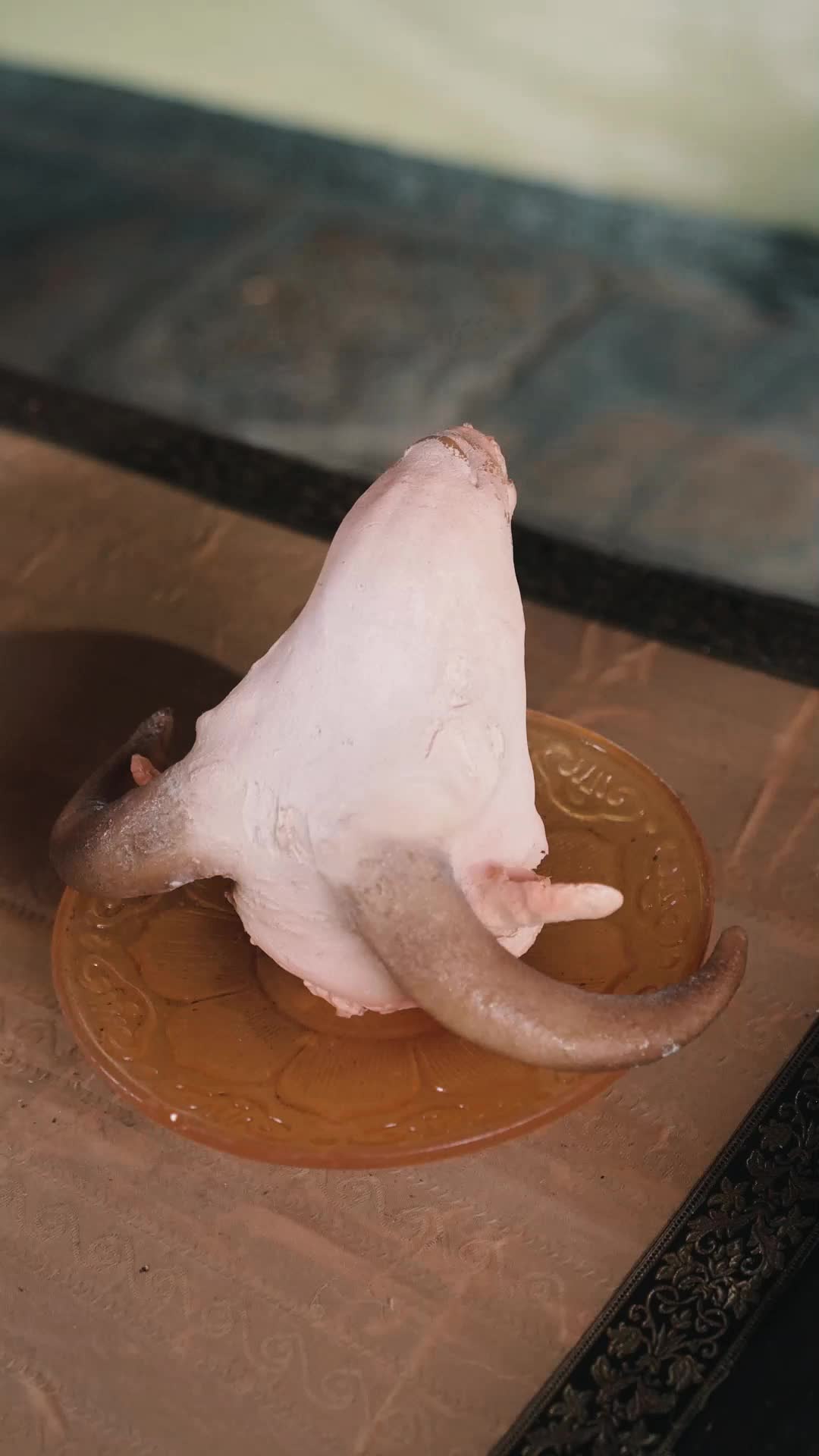 Episode 14 - I'm the Emperor From the Future